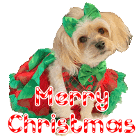 Merry Christmas Sticker by Pimp Yo Pets