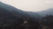 GIF by The Guardian