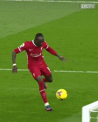 Roberto Firmino Football GIF by Liverpool FC
