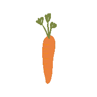 Carrot Sticker by HiPP Organic UK