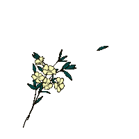 LeQuartierAnime flowers 2danimation animatedillustration quartieranime Sticker