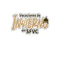 Vacaciones Invierno Sticker by sfvcturismo