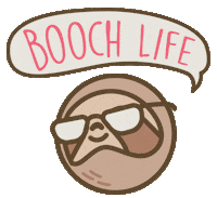 sloth brewdr Sticker by Brew Dr. Kombucha