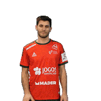Letsgovamos Sticker by Federação de Andebol de Portugal