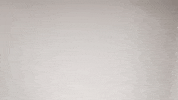 Mens Lacrosse Roll Pards GIF by Lafayette Leopards