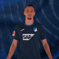 Sport Bundesliga GIF by TSG Hoffenheim