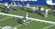 catch td GIF