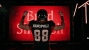 football cfl GIF by Ottawa REDBLACKS