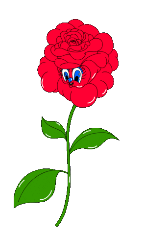 friederikehantel giphyupload flower rose thankyou Sticker