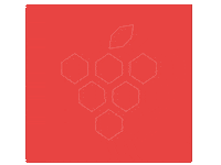 Sanlymarket market sanly санлы маркет sanlymarket Sticker