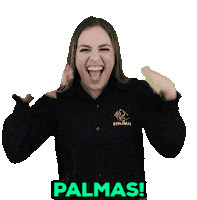 Palmas Lingua De Sinais Sticker by serlibras.oficial
