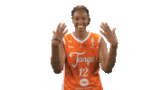 Basketball Sticker by Tango Bourges Basket