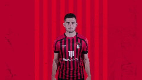 Bring It Applause GIF by AFC Bournemouth