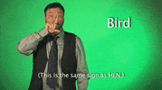 sign language bird GIF by Sign with Robert