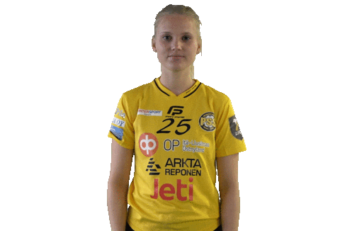 Floorball Salibandy Sticker by F-liiga