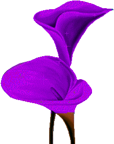 Decoration Heels Sticker