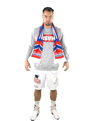 Handball-Bundesliga Fan Sticker by LIQUI MOLY HBL