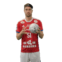 Handball Hamburg Sticker by DAIKIN HBL