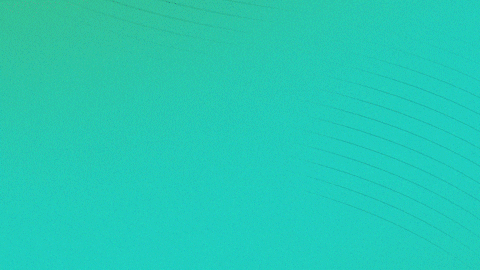 Nascar Finish GIF by MoneyLion