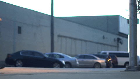 skateboarding falling GIF by Polyvinyl Records