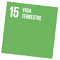 Sustentabilidade Sticker by Sicredi Centro Serra RS