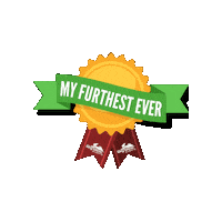 bigbearevents run trailrun further bigbear Sticker