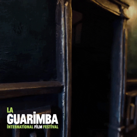 Haunted House Wtf GIF by La Guarimba Film Festival