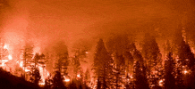 Fires GIF