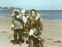 GIF by Silwale