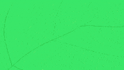 whatever you say worm GIF by julia farkas