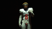 unite18 cnfb18 GIF by Carson-Newman Athletics