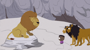 Lions Love Jokes