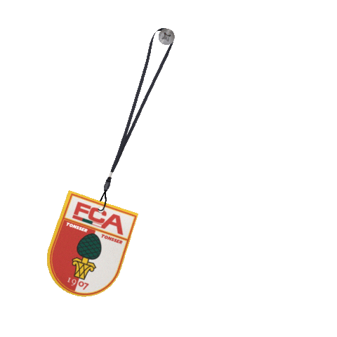 fc augsburg football Sticker by Tonsser