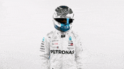 Formula 1 F1 GIF by Mercedes-AMG Petronas Motorsport