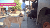 Give Me Nom GIF by visitnc