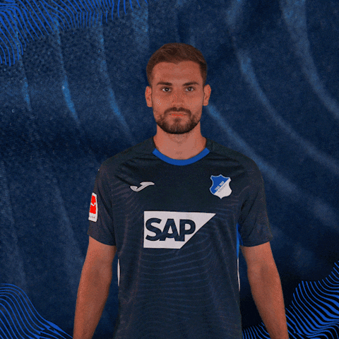 Sport Bundesliga GIF by TSG Hoffenheim