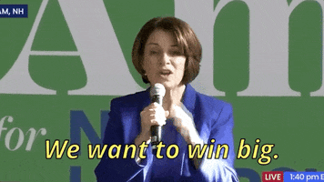New Hampshire GIF by Election 2020