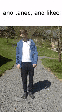 Czech Cesky GIF