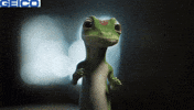 Gulp Shrug GIF by GEICO