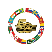 Mixed Martial Arts Mma Sticker by BRAVE Combat Federation