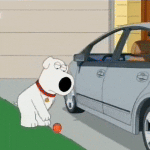 Family Guy Funny GIF