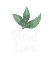 Plant Weiss Sticker by COUCH – das Magazin, die Community