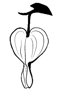 Heart Love Sticker