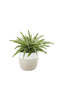 vanangrakshak giphyupload plant plants van Sticker
