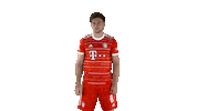 Leon Goretzka Football Sticker by FC Bayern Munich