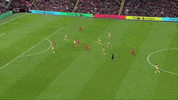 premier league football GIF by Liverpool FC