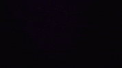 Minnesota Vikings Cook GIF by NFL