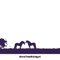 morethanriding paard morethanriding morethanridingnl meerdanpaardrijden Sticker