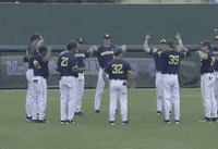 college baseball sport GIF by NCAA Championships