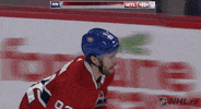 Celebrate Ice Hockey GIF by NHL